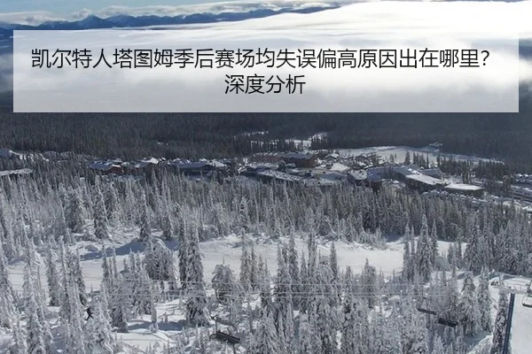 凯尔特人塔图姆季后赛场均失误偏高原因出在哪里？深度分析