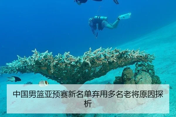 中国男篮亚预赛新名单弃用多名老将原因探析